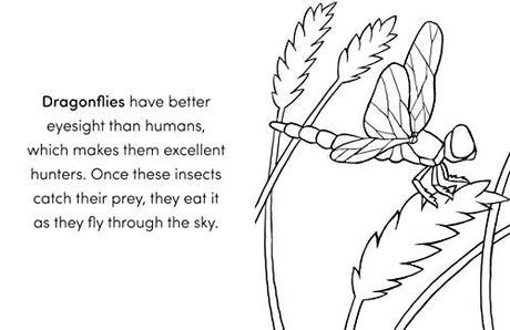 Bug Book for Kids: Coloring Fun and Awesome Facts (A Did You Know? Coloring Book) WoodArtSupply