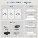 Aircliff Japanese Floor Mattress, Roll Up Tatami Mat, Sleeping Pad, Shikibuton, CertiPUR-US Certified Foam Floor Bed Futon Mattress for Dormitory, Guest Bed, Designed in Japan(Light Grey, Twin) Aircliff