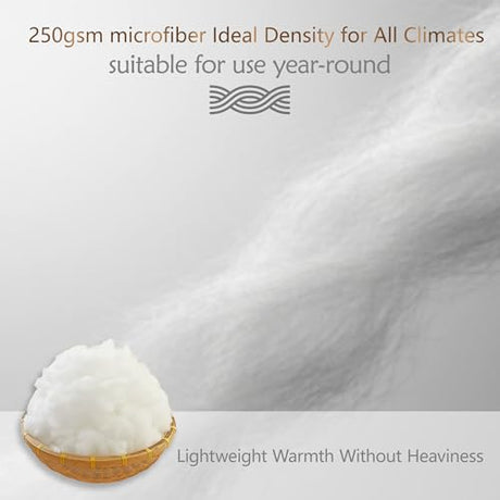 ACCURATEX Lightweight Duvet Insert Queen Size - 100% Cotton Shell, 250GSM Filling Summer Down Alternative Comforter,Ultra-Soft&Breathable, Thin Quilted Duvet Insert with 8 Tabs, Machine Washable,90x90 ACCURATEX