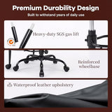 AreShark Cross Legged Office Chair: ADHD Criss Cross Desk Chair with Wheels & Stretchable Rotating Footrest - Height Adjustable Wide Yoga Kneeling Meditation Chair with Flip-up Armrests Back Support AreShark
