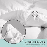 Martha Stewart Goose Feather Down Fiber Cotton Comforter Queen Size, Feather Duvet Insert Queen, Hotel Collection Hypoallergenic Comforter 58oz All Season Medium Warmth 90 x 90 Inch White Martha Stewart