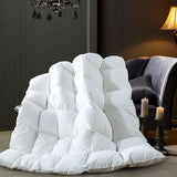 ELNIDO QUEEN® Feather Comforter Full Size, Filled with Feather and Downfiber, Luxurious All Season Fluffy Duvet Insert, Ultra Soft Hotel Collection 100% Cotton Cover Bed Comforter, White 82x86 Inch ELNIDO QUEEN