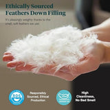 Ltinhome Feathers & Down Comforter, Organic Duvet Insert, 100% Cotton Shell, Ethically-sourced Feathers and Down Filler, All Season Warm, King Size, White Ltinhome