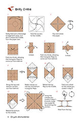 Origami Animal Boxes Kit: Cute Paper Models with Secret Compartments! (14 Animal Origami Models + 48 Folding Sheets) Tuttle Publishing