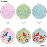 Nuberlic 3 Pack Embroidery Kit for Beginner Adults, Cross Stitch Set with Cardinal & Blue Bird Patterns, Includes Cloth, Hoops, Threads, Needles, Instructions