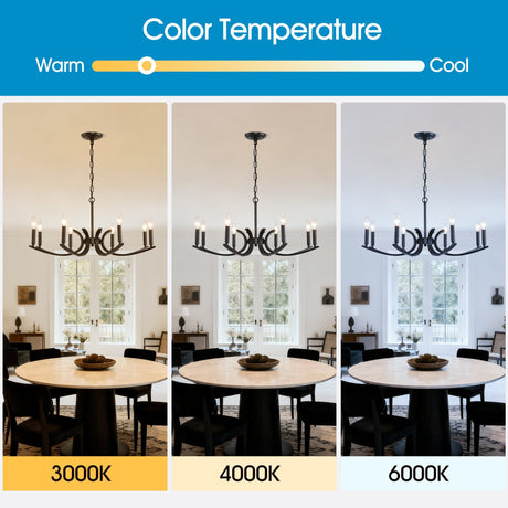 8-Light Farmhouse Chandelier, Black Metal HouseOfZazla