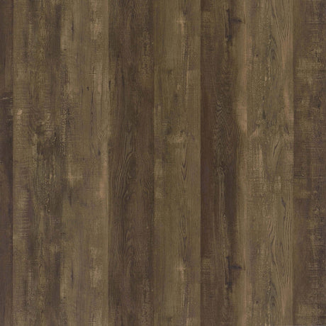 Arcata - Sliding Door Bar Cabinet - Oak HouseOfZazla