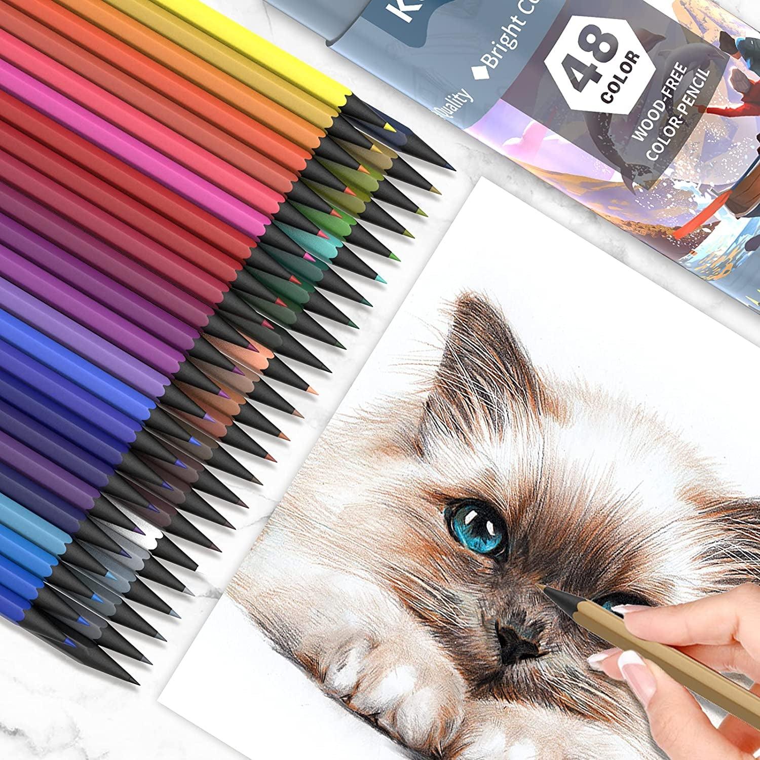 https://woodartsupply.com/cdn/shop/files/48-color-colored-pencils-suitable-for-adults-kids-and-coloring-books-artist-sketch-drawing-woodartsupply-7_930e830f-dc83-4b90-9635-758e984423aa.jpg?v=1696162355&width=1946