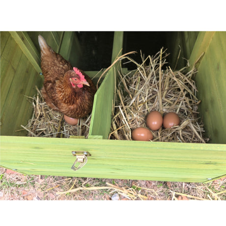 70" Large Wooden Chicken Coop with 2 Nesting Boxes and Waterproof Roof HouseOfZazla