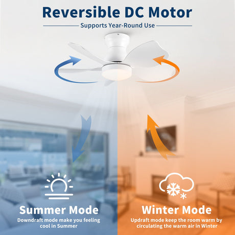 Low Profile Flush Mount Ceiling Fan With Light HouseOfZazla