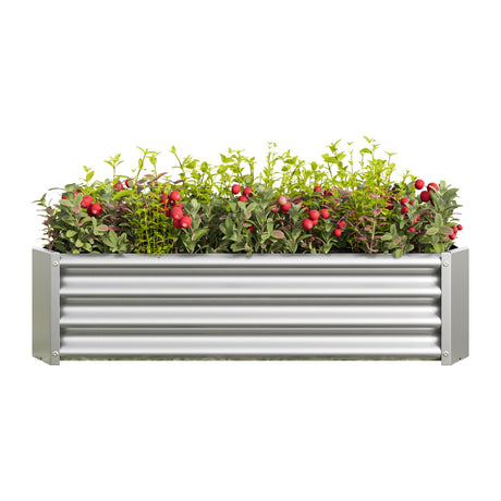 Metal Raised Garden Bed 4x2x1 ft HouseOfZazla