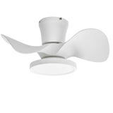 ocioc Quiet Ceiling Fan with LED Light 22 inch Large Air Volume Remote Control for Kitchen Bedroom Dining Room Patio ocioc