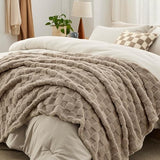 Bedsure Comforter Queen Size 5 Pieces - Queen Size Comforter Set with Checkered Throw Blanket and Decorative Pillow, Lightweiget Bedding, All Season Bedding Sets, Linen Beige Bedsure