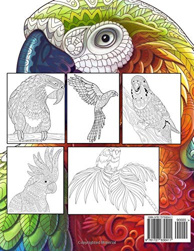 Colorful Parrots - Tropical Birds Coloring Book: Magnificent Nature - Macaws, Cockatoos, Toucans In Forest WoodArtSupply