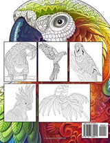Colorful Parrots - Tropical Birds Coloring Book: Magnificent Nature - Macaws, Cockatoos, Toucans In Forest WoodArtSupply