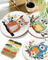 TINDTOP Embroidery Kit for Adults, Owl Embroidery Practice Kit for Adult Beginners Include Embroidery Cloth Hoops Threads for Craft Lover Hand Stitch with Embroidery Skill Techniques
