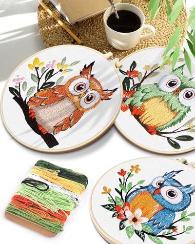 TINDTOP Embroidery Kit for Adults, Owl Embroidery Practice Kit for Adult Beginners Include Embroidery Cloth Hoops Threads for Craft Lover Hand Stitch with Embroidery Skill Techniques TINDTOP