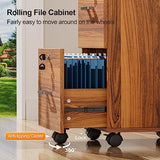 VINGLI 2-Drawer Rolling File Cabinet with Lock, Wood Mobile Filing Cabinet for Hanging Letter Size Filings Under Desk File Cabinet for Home Office, VINGLI