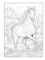 Adult Coloring Great Horses Coloring Book (Adult Coloring Books: Animals) Dover Publications