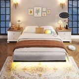 Zevemomo Floating Queen Bed Frame with LED Light, Heavy-Duty Metal Platform Queen Bed Frame Floating with Charging Station, Easy Assembly, No Box Spring Needed, Black Zevemomo