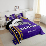 Erosebridal Sports Team Comforter Set, Twin 2Pcs | Purple & Gold Striped Stars Bedding Set, Football City Kids Bedding, Classic Rugby Game Duvet Insert - Inspired by Sports Fans Team Colors Erosebridal