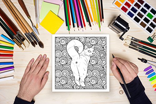 Cat Butt: An Off-Color Adult Coloring Book for Cat Lovers FILLBOSS