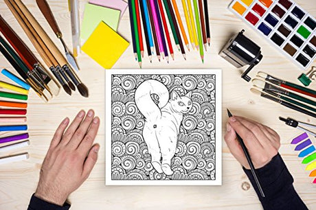 Cat Butt: An Off-Color Adult Coloring Book for Cat Lovers FILLBOSS