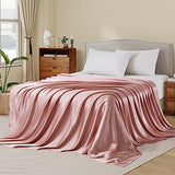 Ersmak Satin Flat Sheet Only, Single Flat Sheet Queen, Luxury & Ultra Soft Silky Bedding Top Sheet for Queen Mattress - Champagne Ersmak