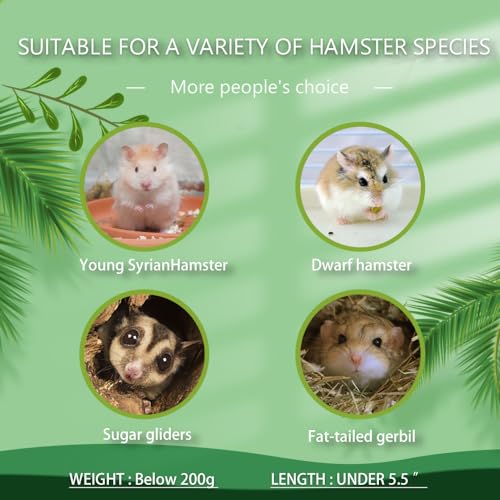 Hamster Forest Lookout Wood House Fun House Double-Decker Hut for Young Dwarf Gerbil Mouse Mice Rat Small Animals(Small Size Only for Small Hamster) kcrygogo