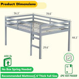 Mirightone Low Loft Bed Twin Size, Wood Junior Loft Bed Frame with Ladder for Kids Girls Boys Teens, Solid Rubberwood, Gray Mirightone