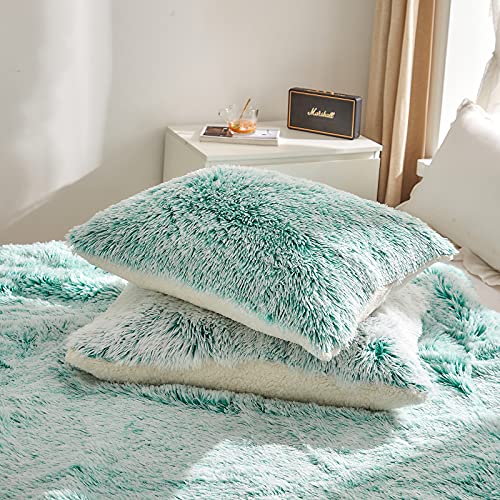Flysheep Luxury Faux Fur Shaggy Fluffy Comforter Set Twin Size Mixed Aqua and White Long Hair, 3 Pieces Plush Flannel Sherpa Backing Reversible Soft Microfiber Bedding Set Super Warm for Winter Flysheep