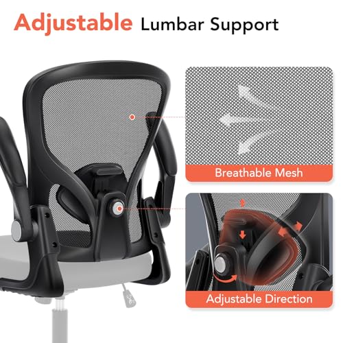 shipborne Ergonomic Office Chair, Computer Desk Chair with Adjustable Lumbar Support, Breathable Mesh Office Chair with Flip-up Armrests, Rocking Function, Comfy Home Office Desk Chair, Black shipborne