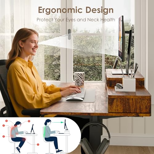 DSNAPE 48x24 Inch Electric Standing Desk with 2 Drawers, Adjustable Height Desk with Storage Shelf, 3 Preset Heights, 2 Hooks and Cable Management, Ergonomic Rising Computer Table for Home Office DSNAPE