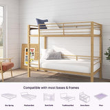 NapQueen 5 Inch, Twin Mattress, Memory Foam White Mattress - Medium Feel - CertiPUR-US Certified - Twin Bed Mattress in a Box, Breathable Soft Fabric Cover NapQueen