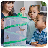 Insect Lore Raise and Release Butterfly Garden Kit – Caterpillar Habitat with redeemable Voucher – STEM-accredited Live Butterfly Growing Kit for Kids, Classrooms, and Homeschool Learning Insect Lore