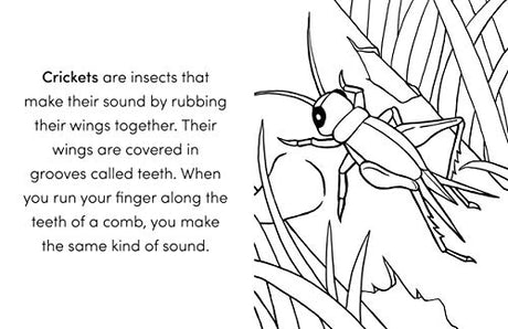 Bug Book for Kids: Coloring Fun and Awesome Facts (A Did You Know? Coloring Book) WoodArtSupply