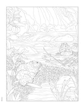 Creative Haven Forest & Woodland Wildlife Coloring Book (Adult Coloring Books: Animals) WoodArtSupply