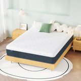 HOXURY Full Mattress, 14 Inch Green Tea Memory Foam Mattress in a Box, Medium Firm Full Size Mattress for Pressure Relief, CertiPUR-US Certified HOXURY