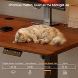 ONBRILL Standing Desk, 55x23.6 Inches Whole-Piece Board Rectangle Stand Up Desk with Solid Wood Desktop and Memory Controller, Adjustable Height from 28-46 Inches for Home & Office, Brown ONBRILL