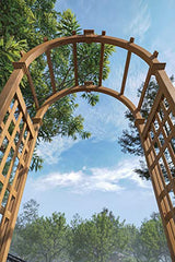 Rosewood 47"W x 89"H Cedar Arbor Vita