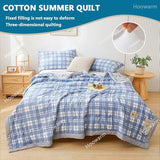 Cooling Comforter, 150x200/180x200cm Summer Duvet Soft Breathable Cooler Comforter, Double/Single Down Comforter Lightweight Cooling Blanket, Washable for All-Season Blanket(I,180x200cm) QWHYQXI