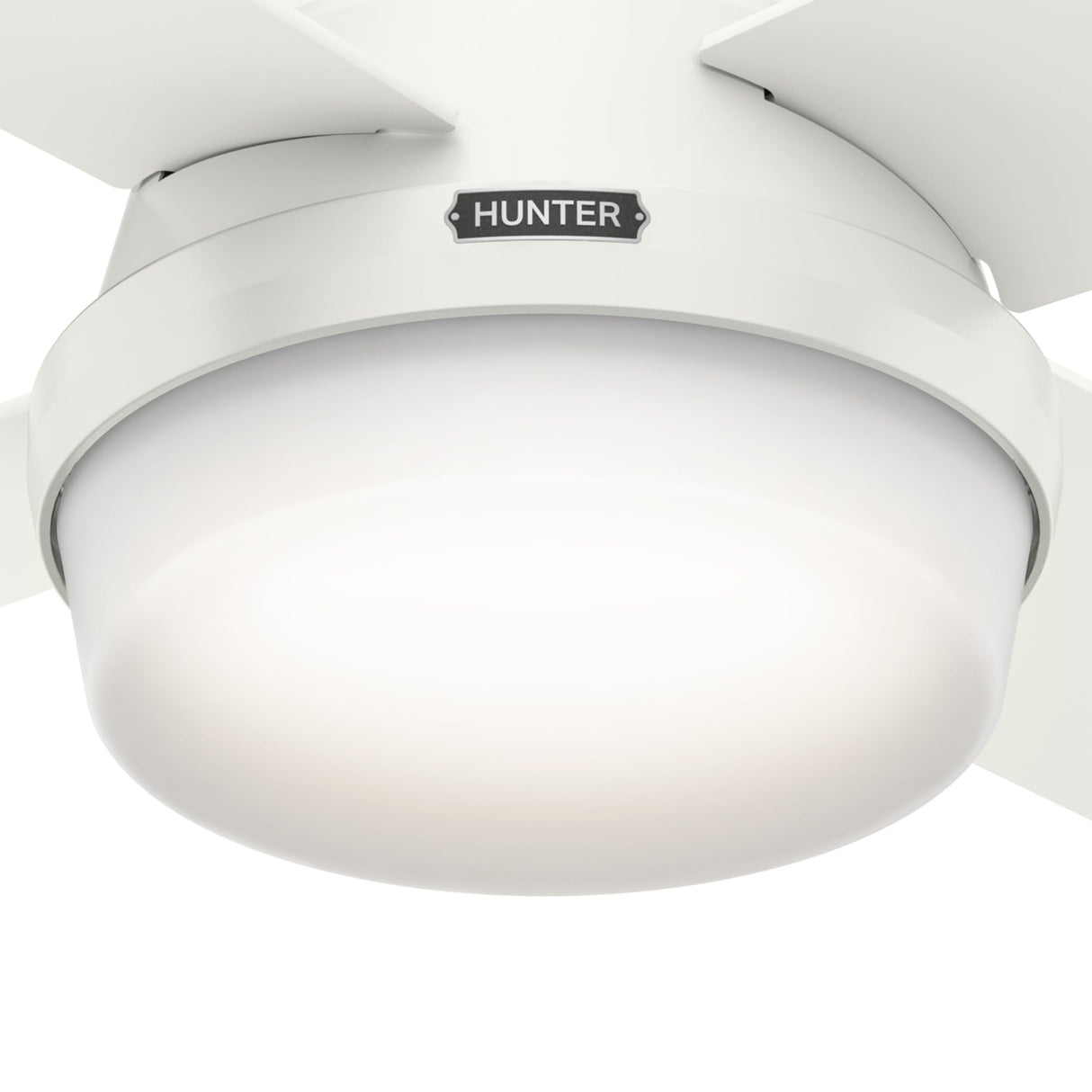 Hunter Fan Dempsey Low Profile Ceiling Fans with Lights and Remote, Flush Mount Ceiling Fan with Lights, Metal, Fresh White, 44 Inch LED Hunter