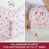 Beatrice Home Fashions Printed Microfiber Sheet Set, Soft Comfortable Easy Care, Includes 1 Fitted Sheet with 12" Deep Pockets, 1 Flat Sheet, Pillowcase, Twin, Pink Flamingo Beatrice Home Fashions