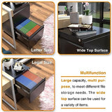 Aobabo Metal 2 Drawer Mobile File Cabinet with Lock, Under Desk Office Steel Filing Cabinet, 25.6''H Legal/Letter Size Files Storage Cabinet,Black,Fully Assembled Aobabo