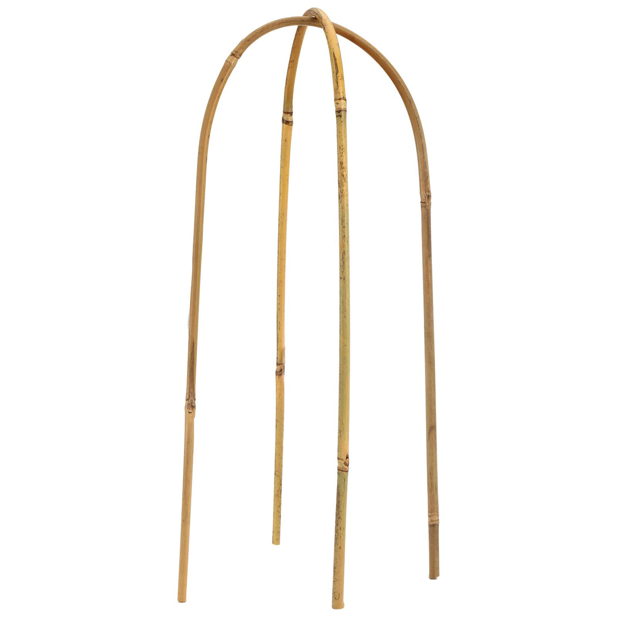 Coloch 20 Pack Bamboo U Trellis Support, 16 Inch U Loop Plant Stake Arch Garden Trellis for Potted Plants, Climbing Flowers and Vines, Ivy, Outdoor Planting Coloch