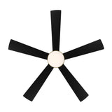 WAC Smart Fans Eclipse Indoor and Outdoor 5-Blade Smart Home Ceiling Fan 54in Satin Brass Matte Black with 3000K LED Light Kit and Remote Control works with Alexa and iOS or Android App WAC Lighting
