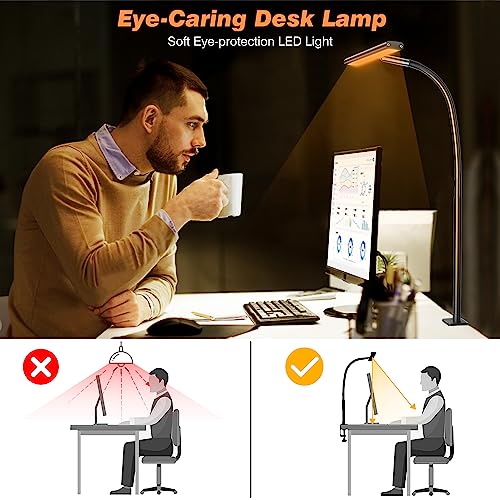Airlonv LED Desk Lamp for Office Home, Eye-Caring Desk Light with Stepless Dimming Adjustable Flexible Gooseneck, 10W USB Adapter Desk Lamp with Clamp for Reading, Study, College Dorm Room Essentials Airlonv