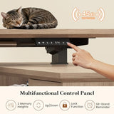 Farmhouse L Shaped Electric Standing Desk with Power Outlet & 2 Storage Cabinets, 55.1" x 47.2" Height Adjustable Office Executive Desk with File Drawer & Shelf, Large Business Computer Desks, Natural ANGRYWIN