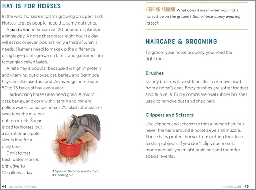 All About Horses: A Kid's Guide to Breeds, Care, Riding, and More!