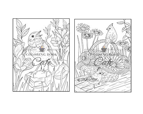 Songbirds Coloring Book: An Adult Coloring Book Featuring Beautiful Songbirds, Exquisite Flowers and Relaxing Nature Scenes Majosta